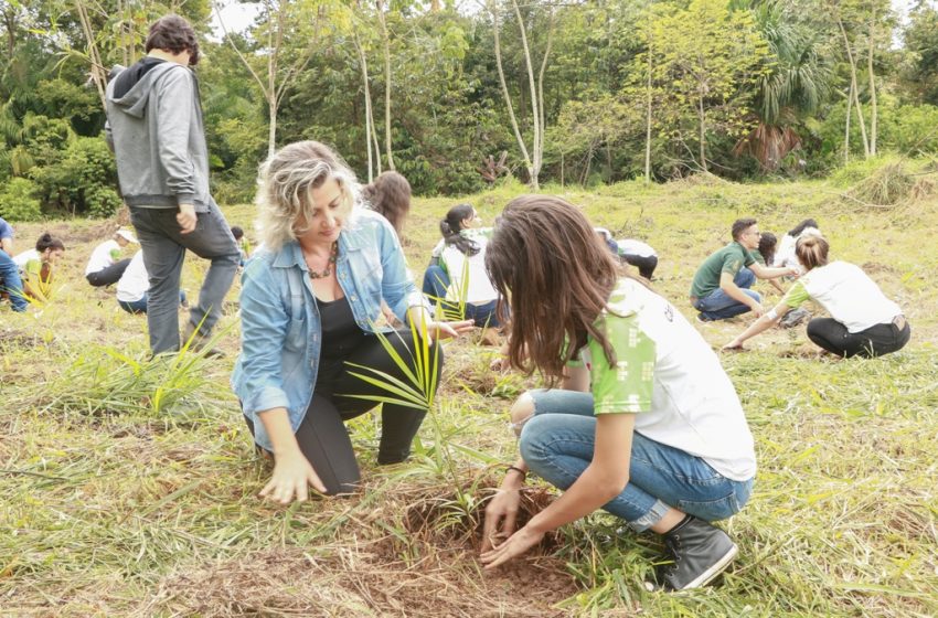  Em comemoração ao dia da água, mudas são plantadas por estudantes em Ji-Paraná, RO