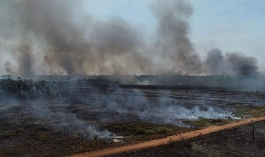 Aeroporto de Porto Velho é fechado para pousos e decolagens devido a fumaça; quatro voos foram desviados