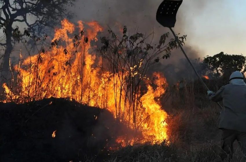  Amazônia tem 2,5 milhões de hectares queimados em agosto