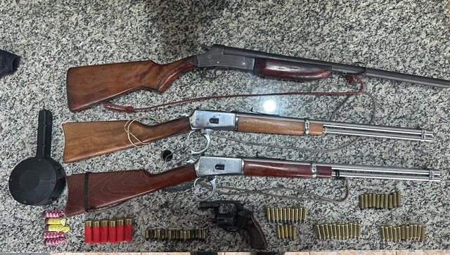  Polícia encontra armas, munições e porco-do-mato criado como animal de estimação em propriedade rural de Pimenta Bueno, RO