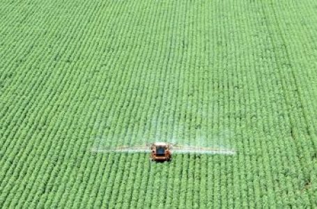 Sem aviso prévio, governo corta seguro rural e tensiona relação com o agro