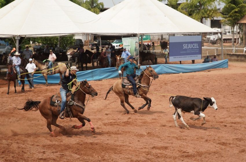 Cirone assegura recursos para Circuito de Provas Equestres